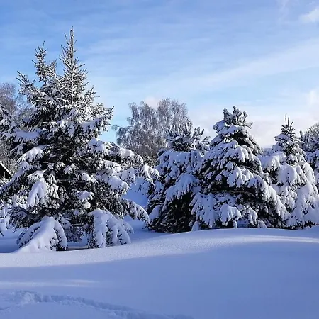 Vichrovky Chalet *